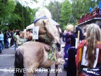 Slet čarodějnic u Perníkové chaloupky 2009