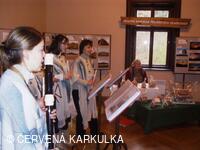 Vánoce v Perníkové chaloupce 2009 - soubor Pifferaios