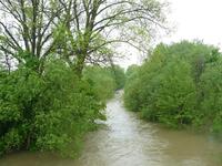 Vražné