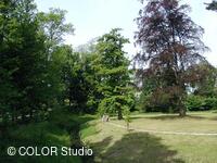 Zámecký park