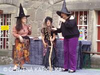 Slet čarodějnic 2010