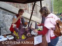 Slet čarodějnic 2010