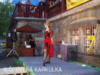 Soutěž čarodějnic 2010