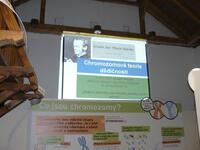 Vražné