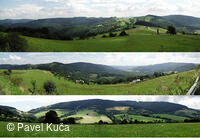 Bílé Karpaty, orchideje