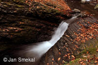 Jan Smekal