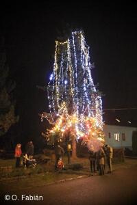 Petřvald