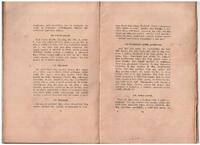 Čeněk Zíbrt: Staročeské perníky s.80-81