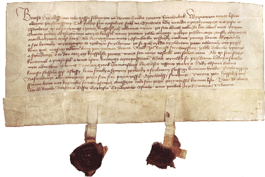 Privilegia - 19. května 1438, Bludov
